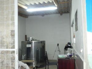 P1020520