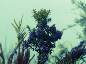 P1030066