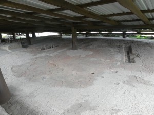 P1030374