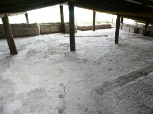 P1030377