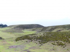 P1030382