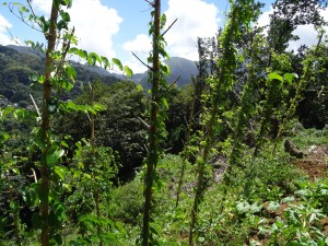 DSC04124-min