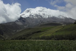 _MG_6975