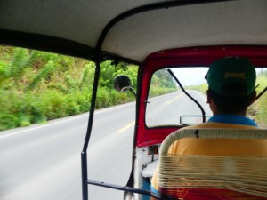 P1010019