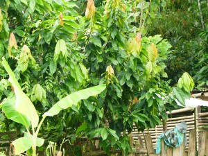 P1010204