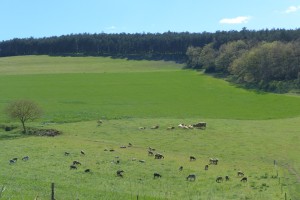 P1020695