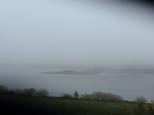 P1020741