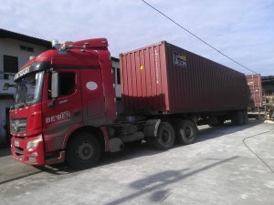 WP_002610
