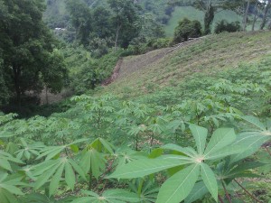 WP_002757