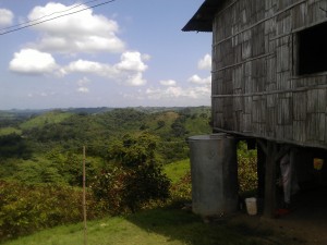WP_002845