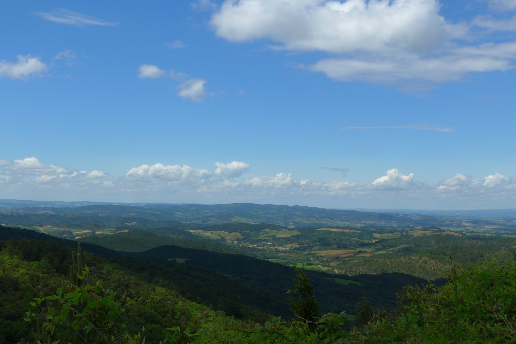 P1020880