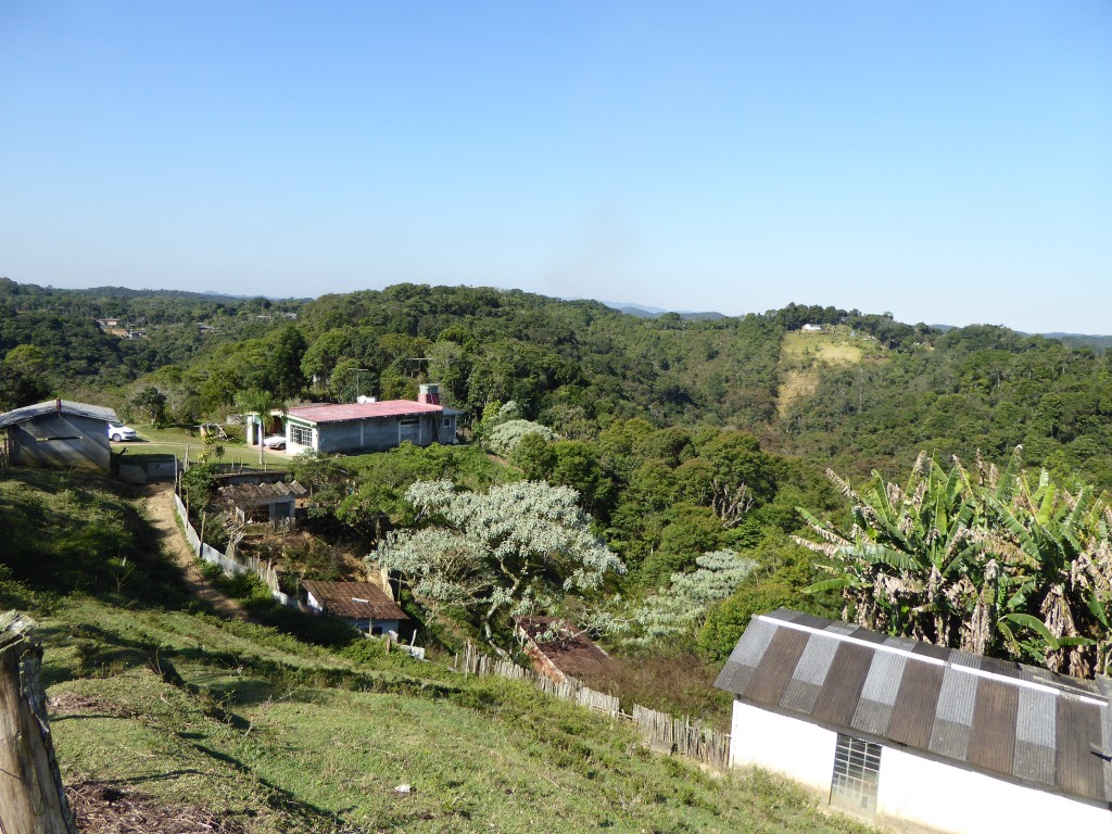 P1020845
