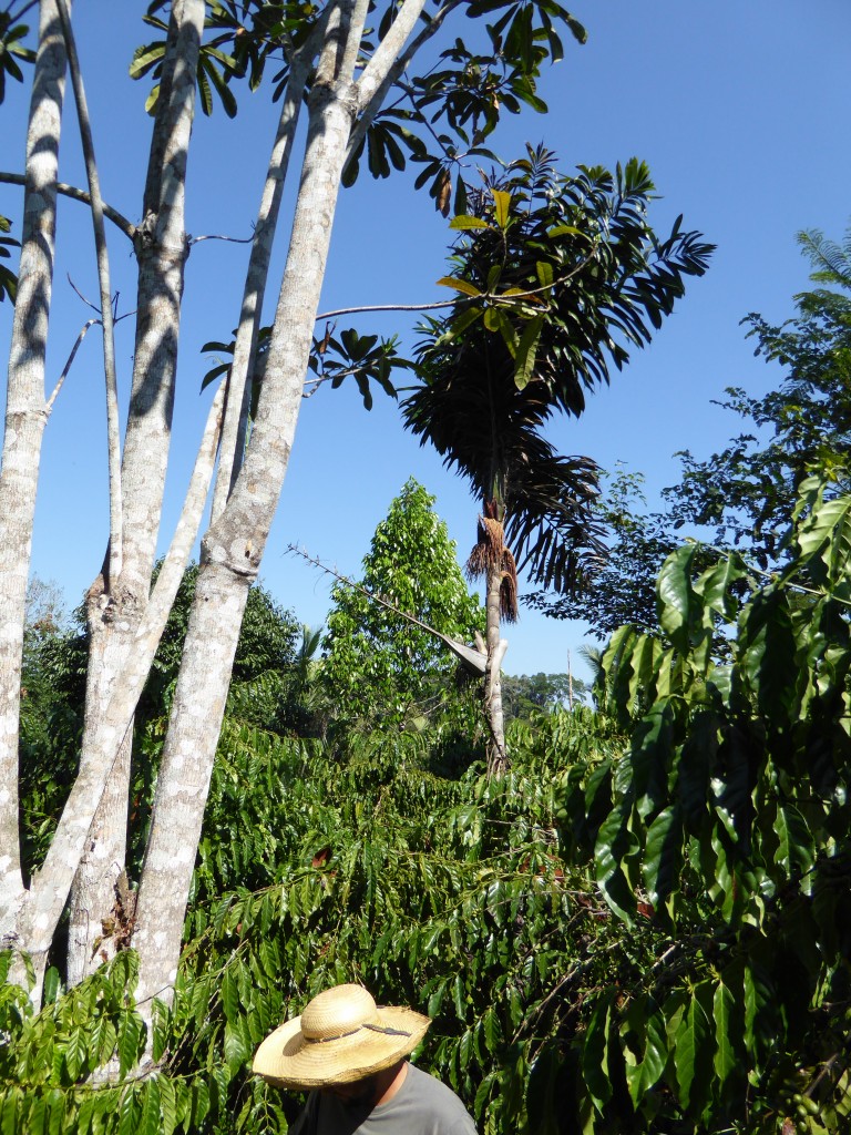 P1040070