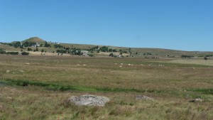 p1030921